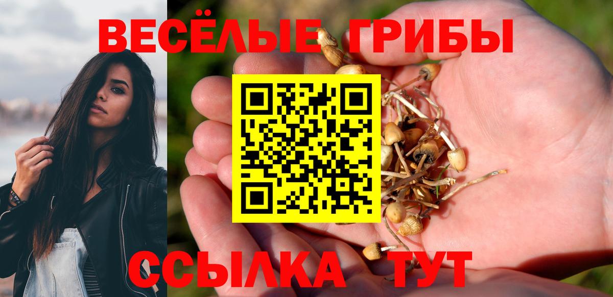 Псилоцибиновые грибы мухоморы Кинешма