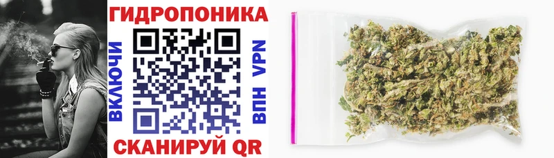 Марихуана OG Kush  купить  сайты  MEGA ONION  Кинешма 